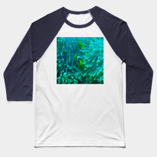 Nemo Fish and Sea Anemone Baseball T-Shirt